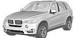 BMW F15 P200A Fault Code
